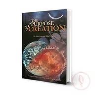 The Purpose of Creation