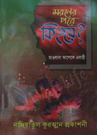 মরণের পরে কি হবে