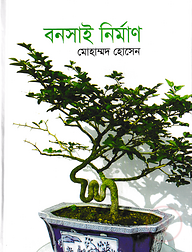 বনসাই নির্মাণ
