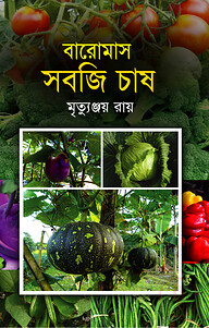 বারোমাস সবজি চাষ