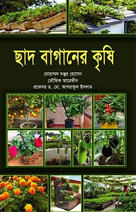 ছাদ বাগানের কৃষি