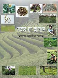সহজ চা আবাদ