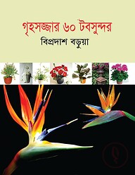 গৃহসজ্জার ৬০ টবসুন্দর
