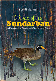 Birds Of The Sundarban