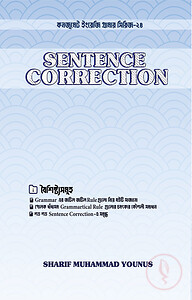 Sentence Correction