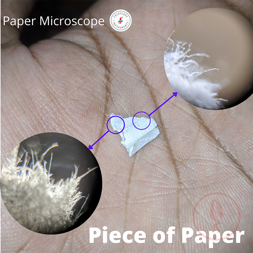 Foldscope Paper Microscope 6