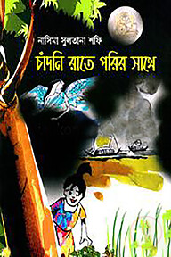 চাঁদনি রাতে পরির সাথে