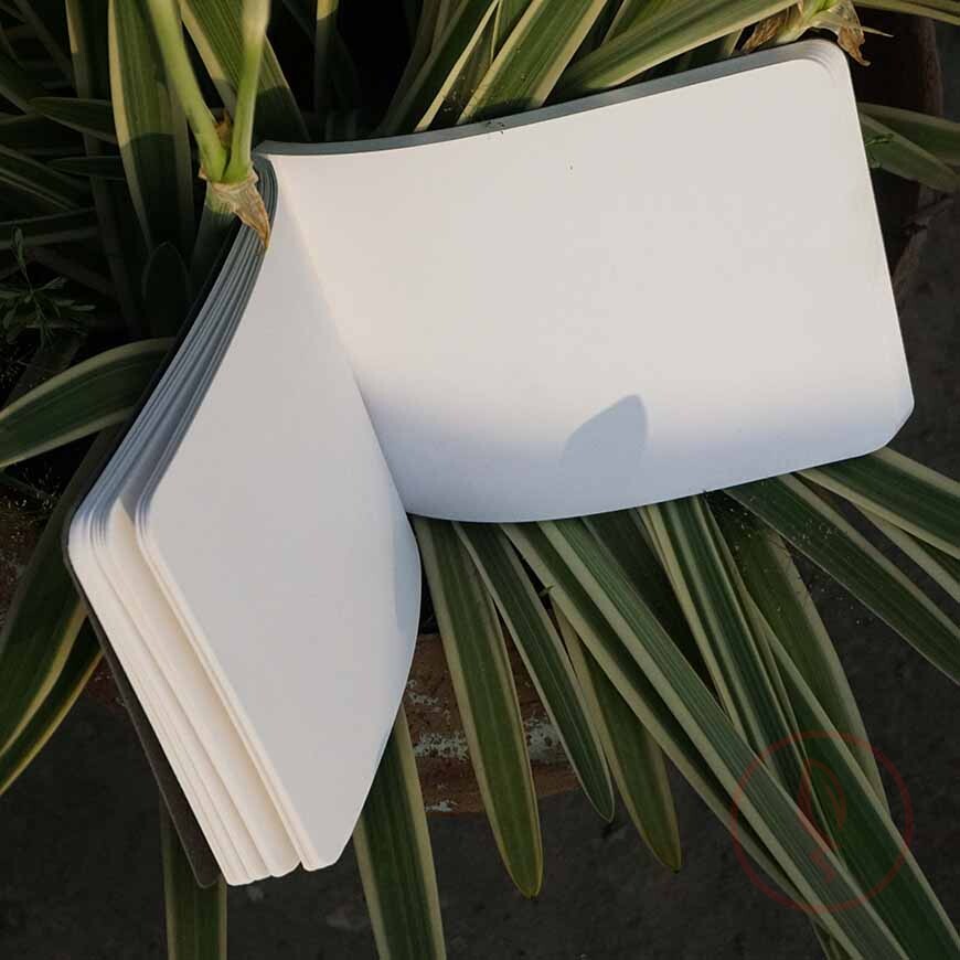 DSC00117