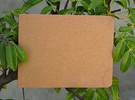 Landscape Series Kraft Notebook (Premium Bianco Paper for Artist)