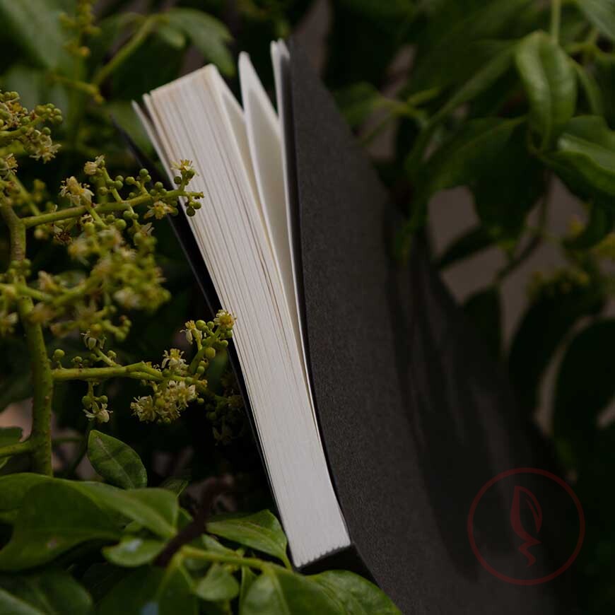 IMG_1423