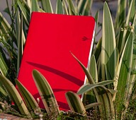 Pocket Book Red Notebook