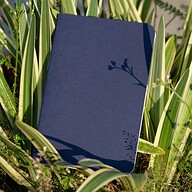 Pocket Book Blue Notebook