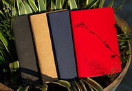 Pocket Book Black, Blue, Kraft &amp; Red Notebook 4-Pack