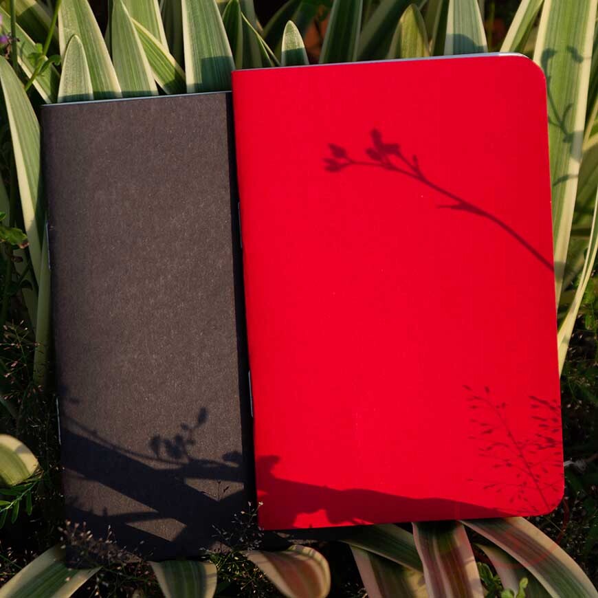 IMG_3137