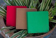 365 Days Green Red and Kraft Cover Notebook 3-Pack