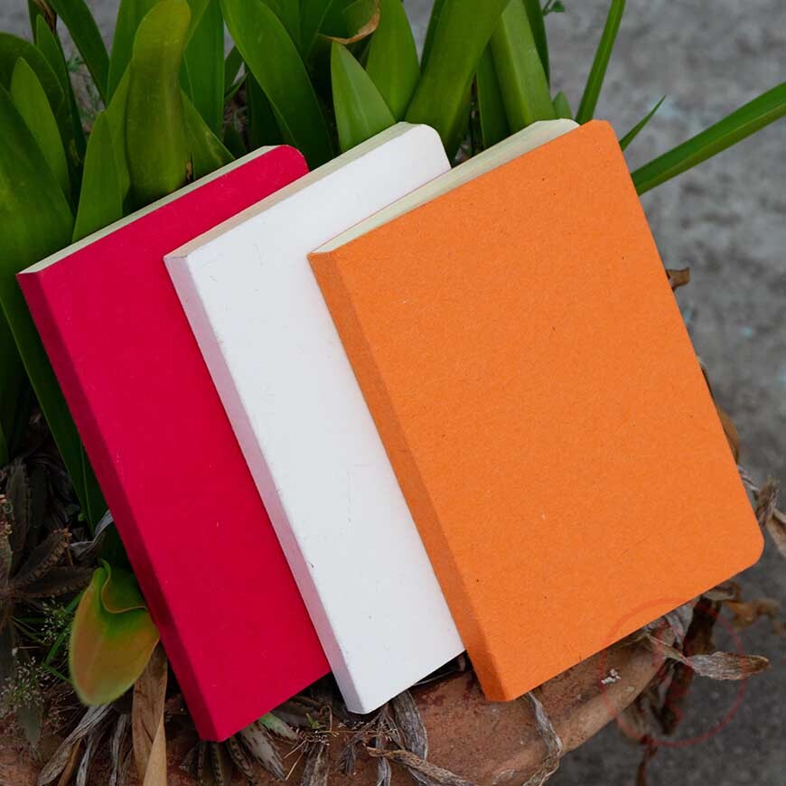 IMG_4353