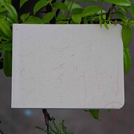Landscape Series Texture Cream Notebook (Premium Bianco Paper for Artist)