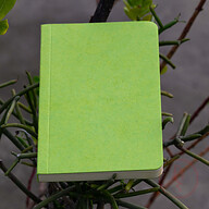 Yellowish Page Hand Made Green Cover Notebook
