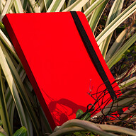 Daily Journal Red Notebook with Elastic Band