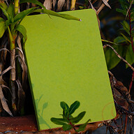 Explorer Notebook (Jute Handmade Green Board Cover)