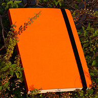 Daily Journal Orange Notebook with Elastic Band
