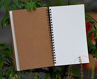 Designer Series Graph/Grid Notebook