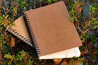 Designer Series Graph/Grid &amp; Daily Journal Notebook 2-Pack