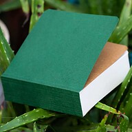 365 Days Green Cover Notebook