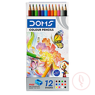 Doms Colour Pencils Long 12 Shades