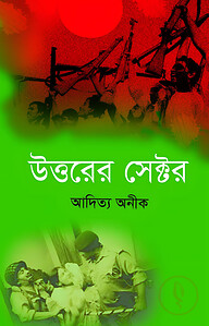 উত্তরের সেক্টর