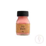 Lip Balm (লিপ বাম)