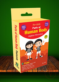 Human Body Flashcards