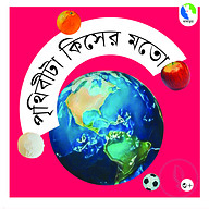 পৃথিবীটা কিসের মতো