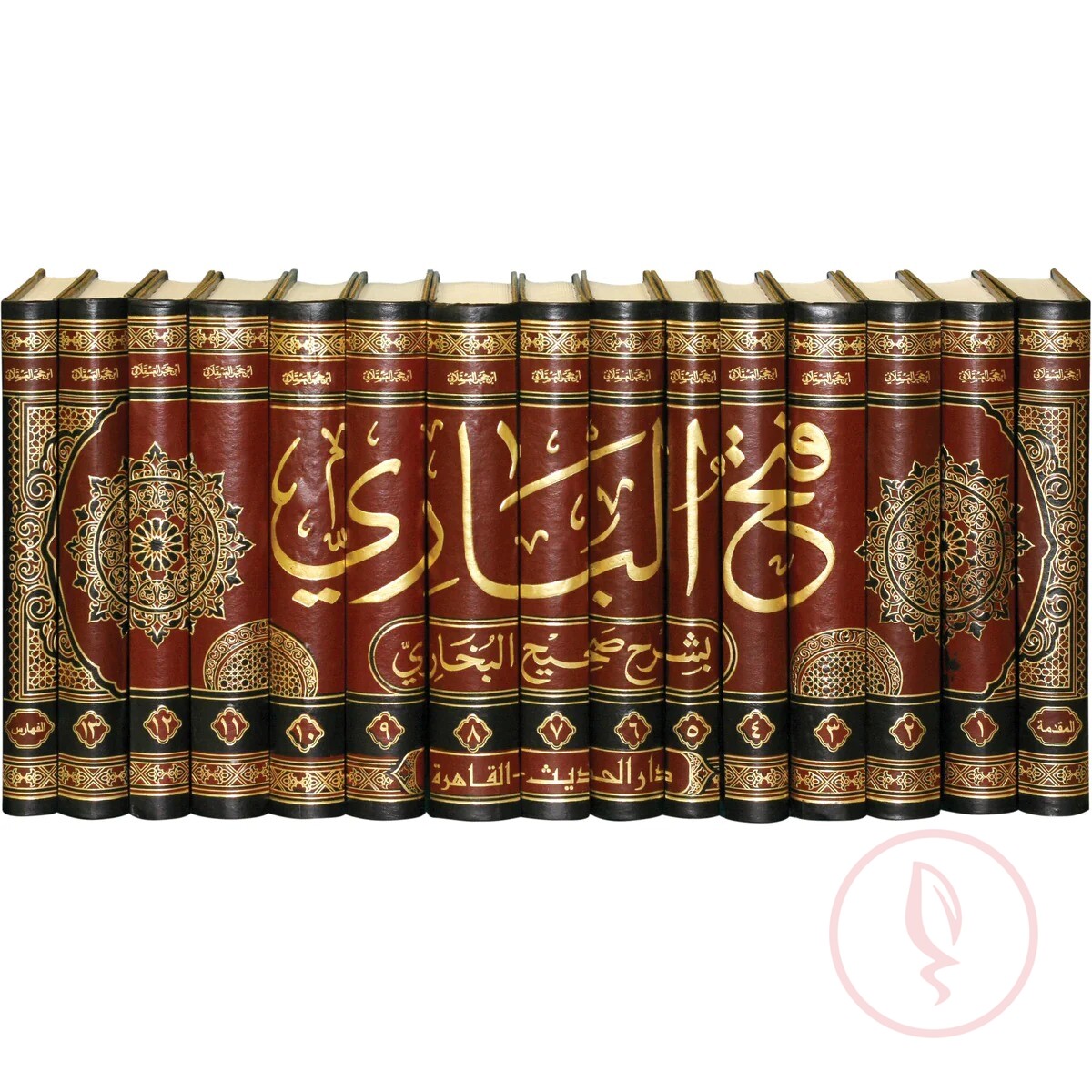 COVER (7)
