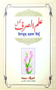 ইলমুস সরফ (কম্পিউটার)