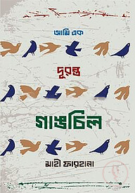 আমি এক দুরন্ত গাঙচিল