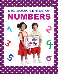 BIG BOOK SERIES OF NUMBER