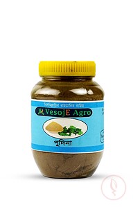 VesojE Agro Mint/ Pudina powder ( পুদিনা গুড়া ) 100g