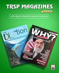 Divention May 2025 + The Why? June 2025 - Combo Pack