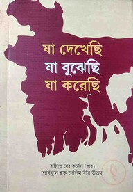 যা দেখেছি যা বুঝেছি যা করেছি