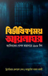 বিভীষিকাময় আয়নাঘর