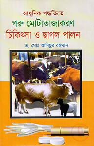 আধুনিক পদ্ধতিতে গরু মোটাজাতকরণ চিকিৎসা ও ছাগল পালন