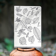 Leaves Notebook (SN202505196)