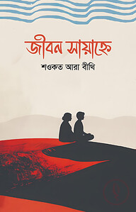 জীবন সায়াহ্নে
