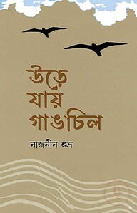উড়ে যায় গাঙচিল