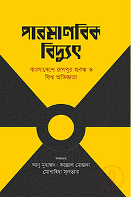 পারমাণবিক বিদ্যুৎ