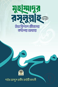 মুহাম্মাদুর রসূলুল্লাহ (সা.) তাঁর বিশাল জীবনের কতিপয় অধ্যায়