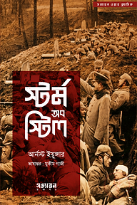 স্টর্ম অব স্টিল
