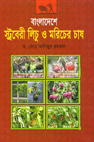 বাংলাদেশে স্ট্রবেরী লিচু ও মরিচের চাষ