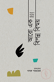 করোনাকালের কবিতা আরো এক বিপন্ন বিস্ময়